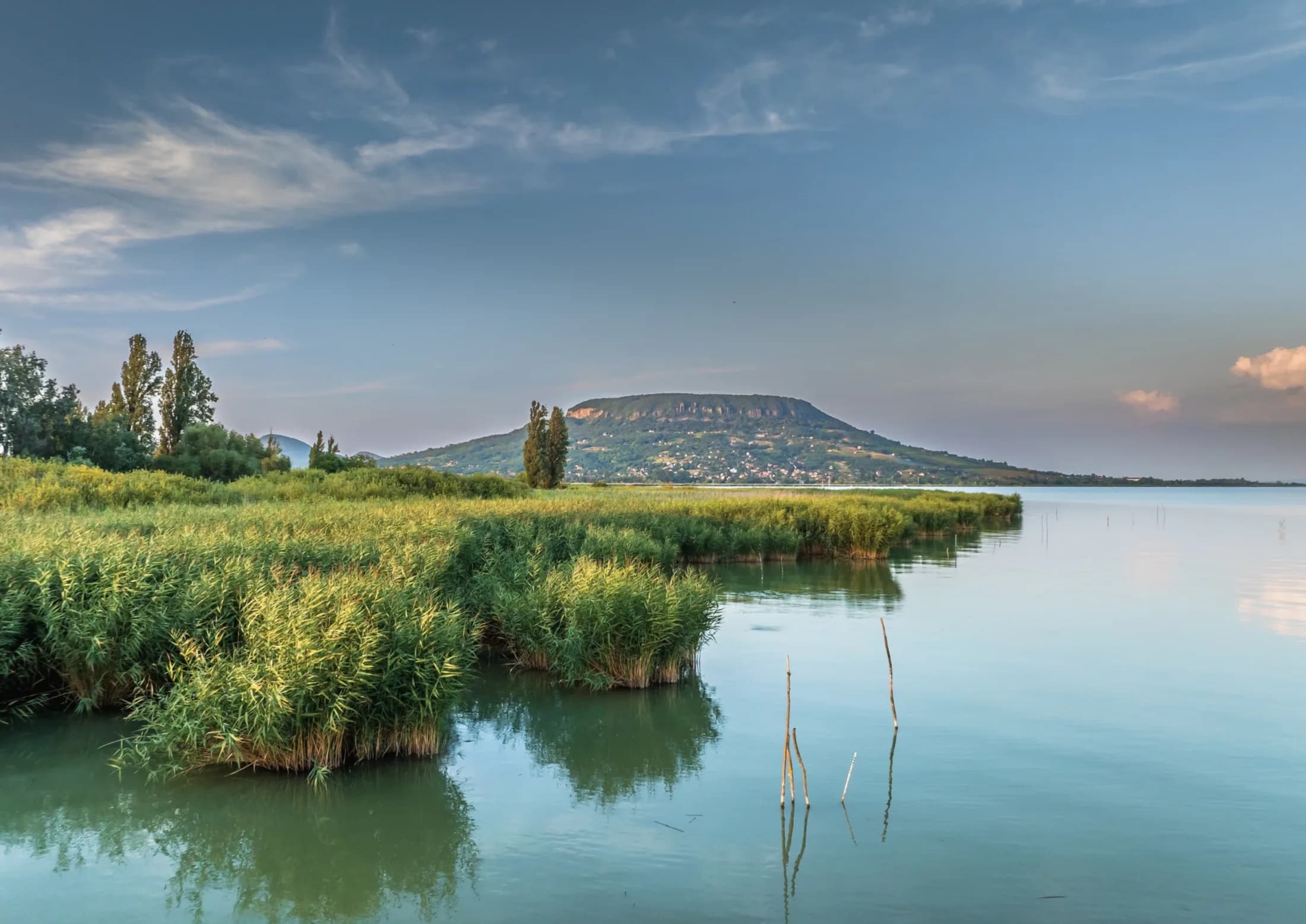 Reed beds along a calm Balaton shoreline at dusk, the flat-topped Badacsony hill rising across the water.