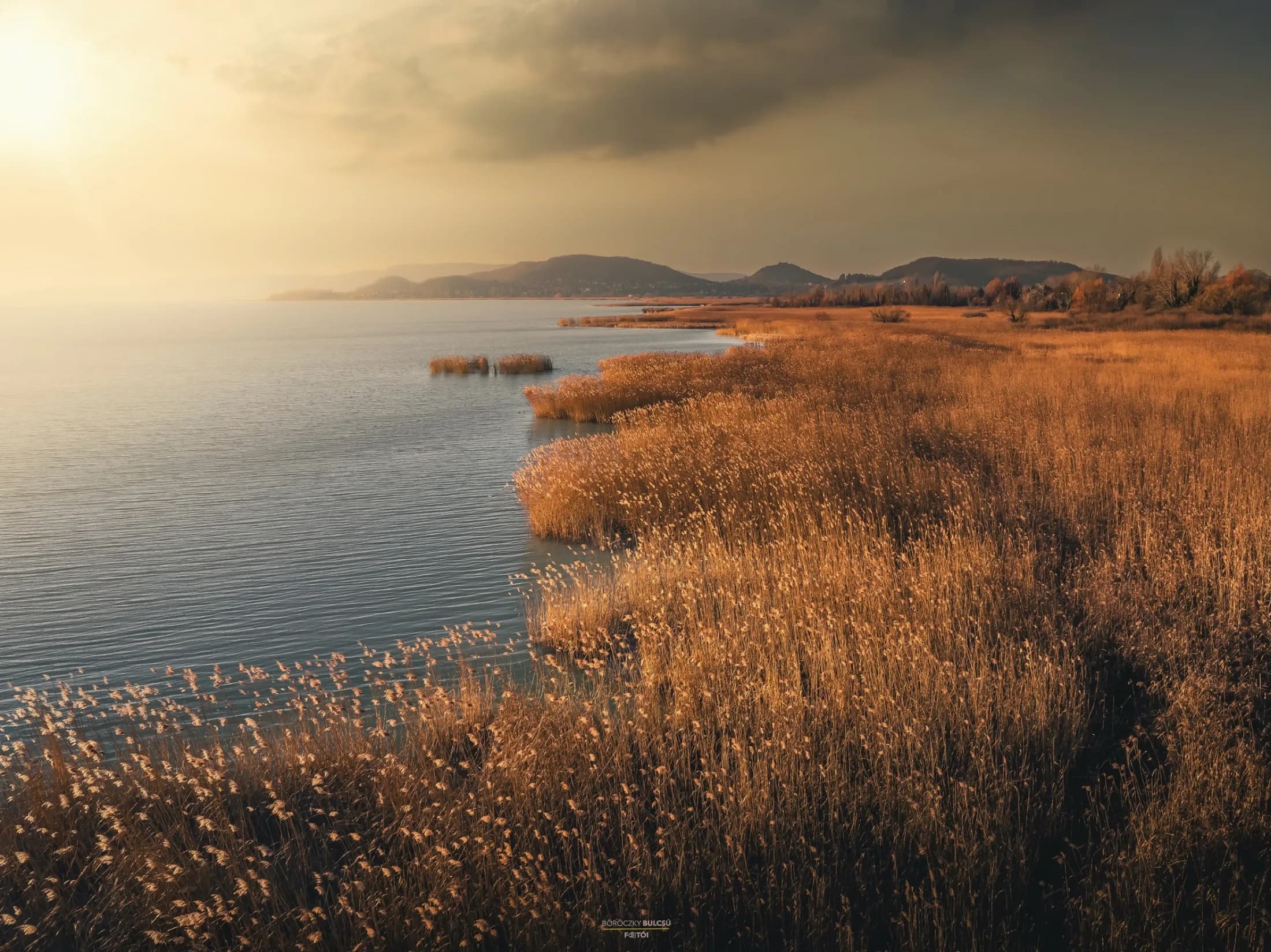 Golden autumn reeds along the lake shore at sunset, hills fading into the distance.